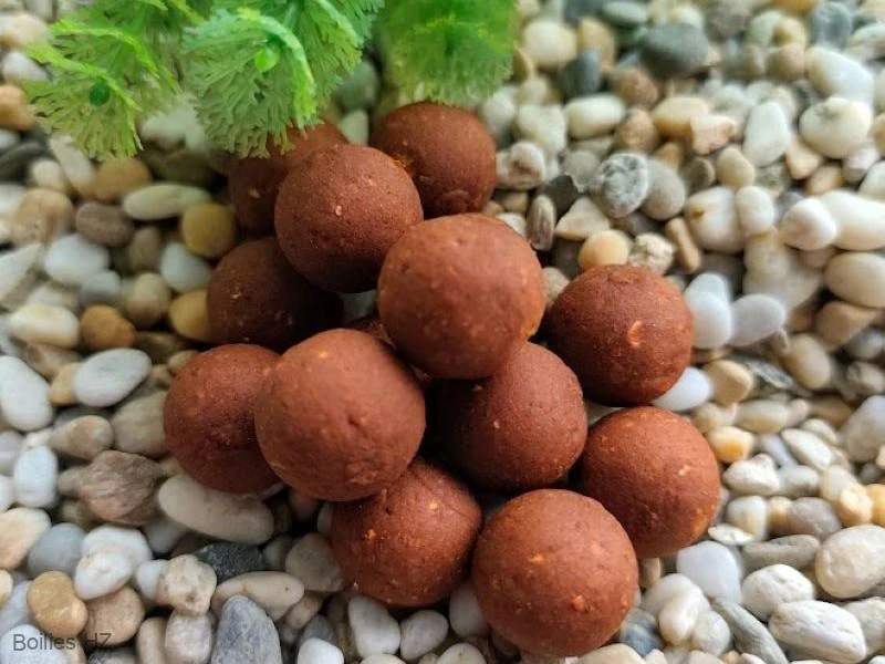 Balancky KOŘENÍ  – účinná a vyvážená nástraha pro kapry